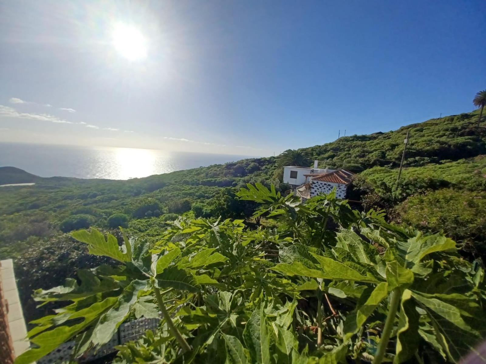 Casa Rural El Olivo De Mazo Dış mekan fotoğraf