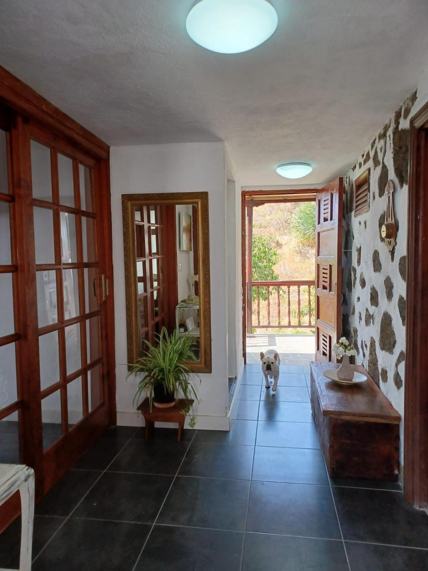 Casa Rural El Olivo De Mazo Dış mekan fotoğraf