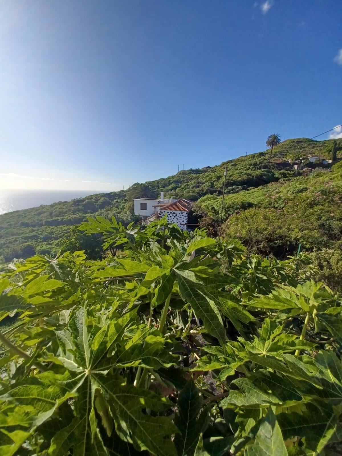 Casa Rural El Olivo De Mazo Dış mekan fotoğraf